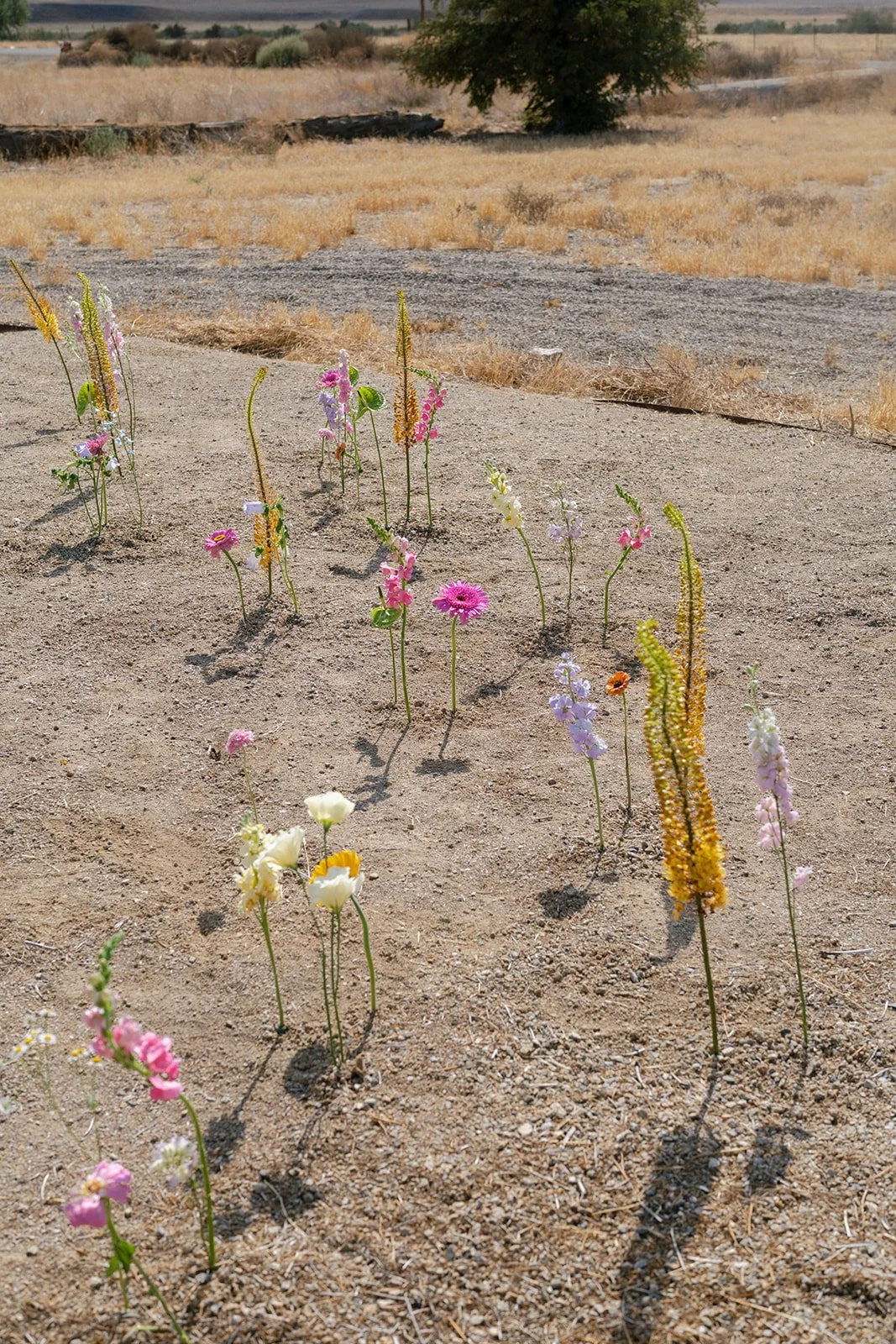 Colorful Cuyama Buckhorn wedding centerpieces